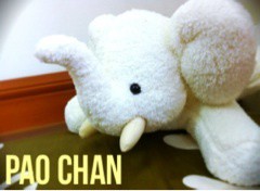 Flower 公式ブログ ぱおちゃん 千春 Gree