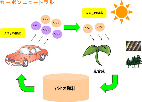 診断医 とは