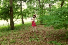 ƻ�Ť����(�⡼�˥�̼��) �����֥���/������Ŧ�� ����1