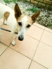 ��-ute �����֥���/�롼���������꤬�Ȥ��� ����2