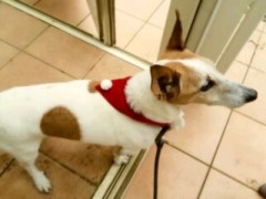 ��-ute �����֥���/�롼���������꤬�Ȥ��� ����1