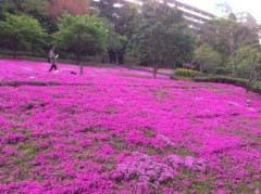 ����ͪΤ �����֥���/���������� ����3