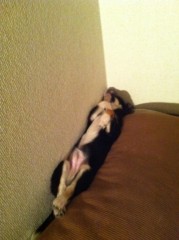 ��¼ζ�� �����֥���/THE ANSWER o(^-^)o ����3