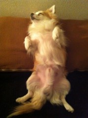 ��¼ζ�� �����֥���/THE ANSWER o(^-^)o ����2