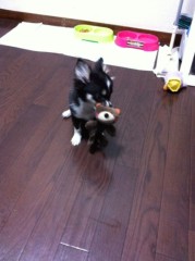 ��¼ζ�� �����֥���/THE ANSWER o(^-^)o ����1