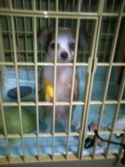 ��¼ζ�� �����֥���/THE ANSWER o(^-^)o ����1