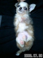 ��¼ζ�� �����֥���/THE ANSWER o(^-^)o ����3