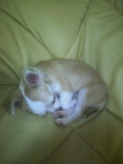 ��¼ζ�� �����֥���/THE ANSWER o(^-^)o ����3