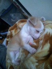 ��¼ζ�� �����֥���/THE ANSWER o(^-^)o ����2