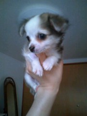 ��¼ζ�� �����֥���/THE ANSWER o(^-^)o ����2