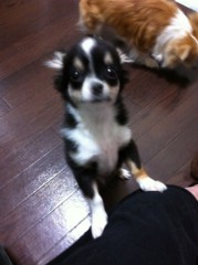 ��¼ζ�� �����֥���/THE ANSWER o(^-^)o ����2