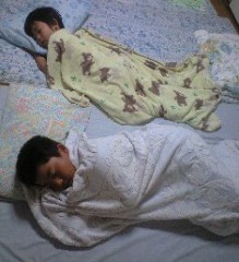 �շ�� �����֥���/���Ȥ� ����1