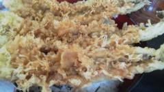 �Ҳ����Ť� �����֥���/³���ץ�ƥ����ʤ��гݤ����� ����1